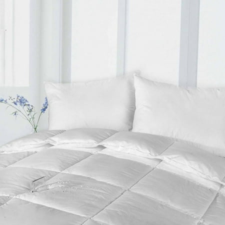 Stayclean 100% Cotton Down Alternative Water and Stain-Resistant Comforter