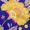 Dark Blue, variant on oneOone Polyester Spandex White Fabric Botanical Floral Quilting Supplies Print Sewing Fabric By The Yard 56 Inch Wide