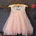 thumbnail image 3 of Filles Tout-Petits Robe d'Été Dentelle Fleur Tutu Princesse Partie Tulle 2-7 Ans, 3 of 6