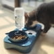 thumbnail image 4 of Cuencos para gatos, cuenco para mascotas, cuenco para mascotas, cuenco para gatos para agua y comida, 3 en 1, dispensador de agua automático perfecto, cuello protector inclinable para gatos y perros,, 4 of 5