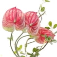 thumbnail image 2 of 3 Flores de Anturio Artificiales de 22.8 Pulgadas para DecoracióN del Hogar, Ramo y Hojas y DecoracióN de Boda Nupcial (Rosa), 2 of 6