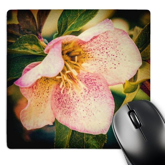 3dRose, Tropical Flower, MousePad