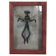 thumbnail image 1 of Resina creativa cráneo fantasma ped colgante mco escultura halloween ornamento coleccionable figurilla oficina estantería gabinete TV soporte te rojo Baoblaze escultura de marco de foto, 1 of 7
