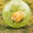 thumbnail image 3 of Mini pelota de plástico para correr, mascota, hámster, jerbo, pelota para correr, juguete (amarillo) Likrtyny Mascotas, 3 of 9