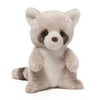 Blossom Baby Raccoon 8 inch - Stuffed Animal by GUND (4056798)