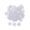 White, variant on The Passenger Pigeon (Paperback)
