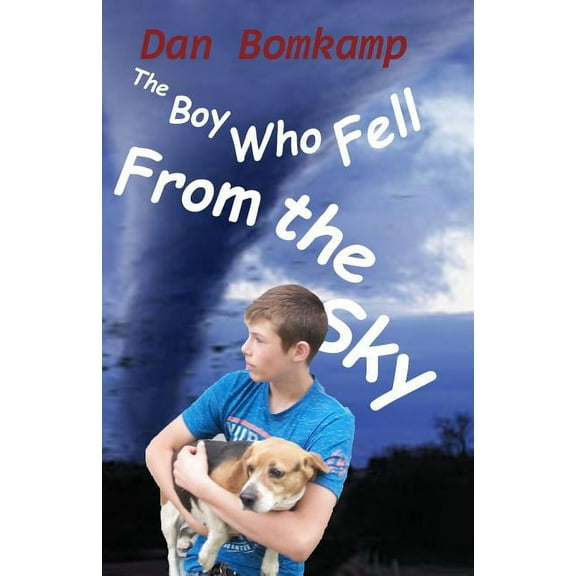 The Boy Who Fell From the Sky (Paperback) by Dan Bomkamp
