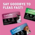 thumbnail image 2 of CAPSTAR (nitenpyram) Tratamiento oral de pulgas para gatos, comprimidos de acción rápida comienzan a matar pulgas en 30 minutos, gatos 2-25 libras, 6 dosis, 2 of 5