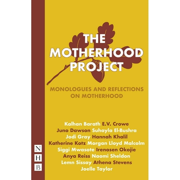 The Motherhood Project (Paperback)