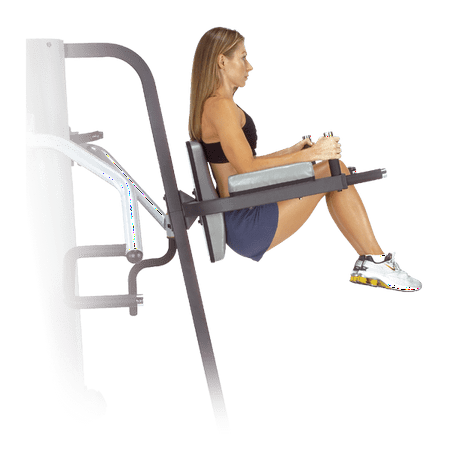 Vertical Knee Raise and Dip Station (Best Fitness Vertical Knee Raise)