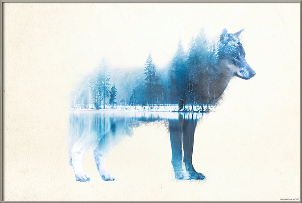 Постер с волком. Волк в лесу. Волк двойная экспозиция. Волк акварелью. Волк в лесу акварель.