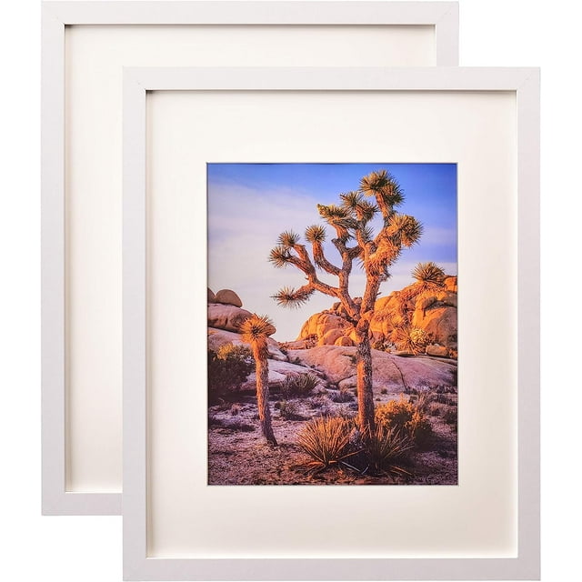 Picture Frames 16x20 inches for Wall Poster Frame matted to 11x14 inches Photos with Polystyrene