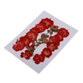 thumbnail image 4 of Flores secas naturales perfecl Colecciones Orgánicas DIY Arte de Scrapbooking Decoraciones Florales, 4 of 8