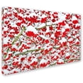 thumbnail image 2 of Trademark Fine Art "Winter Berries in the Snow" Canvas Art by Kurt Shaffer, 2 of 3