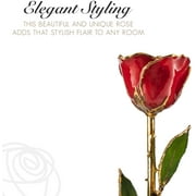 Forever Rose, a Genuine, One of a Kind, Real Red Rose, Hand Dipped in Lacquer and Trimmed in 24K Gold