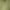 Green, variant on Two Piece Outfits for Women Summer Cotton Linen Long Sleeve Shirts with Wide Leg Shorts Solid Ccolor Lounge Sets