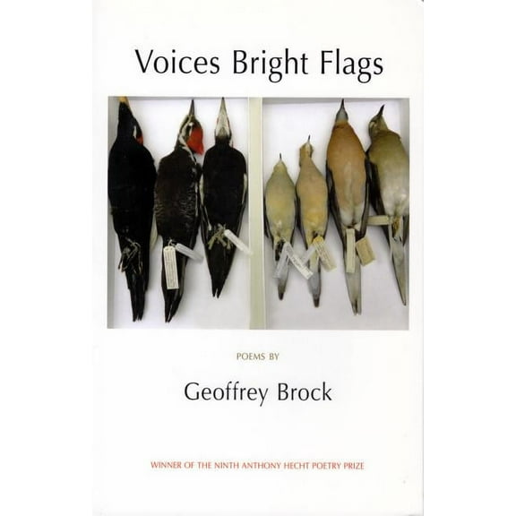 Voices Bright Flags (Paperback) by Geoffrey Brock