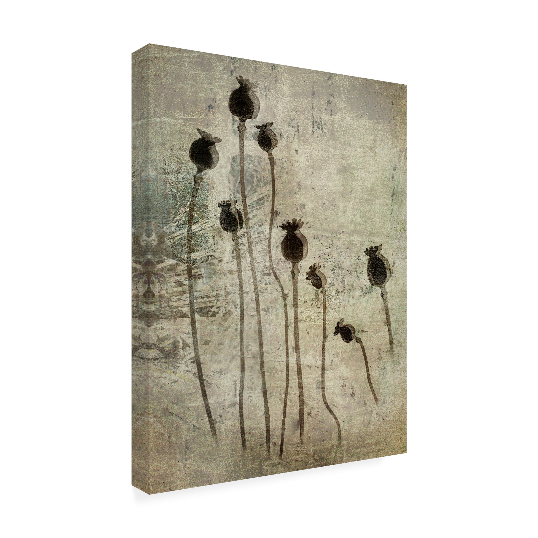 Canvas Wall Art - Nel Talen 'Poppy Seedlings' Wall Art for Living Room, Bedroom, or Office D?cor by Trademark Fine Art - 35 x 47 Inches