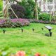 thumbnail image 4 of 4 Uds. Práctica estaca para el suelo, lámpara para césped, estacas para el suelo, luces de paisaje útiles, estacas para el suelo para jardín, patio al aire libre, patio con tornillo M5 (negro), 4 of 6