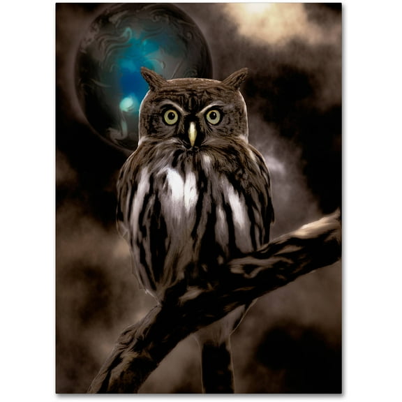 Trademark Fine Art "Night Owl" Canvas Art by Color Bakery