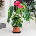 thumbnail image 4 of unbranded 10Ud Para Macetas Plástica Para Jardín Y Uso En Interiores, 4 of 8