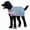 Party Cheetah, variant on Jeffers Expression Dog Coat Waterproof Ripstop Winter Jacket 32" – 240g Insulated Blanket, Adjustable Belly & Chest Straps, Reflective Strips, Small to Large Breeds, Outdoor & Travel - Rose Garden