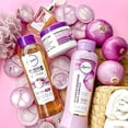 thumbnail image 5 of Red Onion shampoo and conditioner set (2 pack) Shampoo de Cebolla anyeluz y Acondicionador de cebolla Anyeluz for woman shampoo de cebolla anyeluz ruufe, 5 of 5