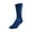 Royal, variant on Mizuno Volleyball RUNBIRDĀ® Crew Socks