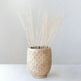 thumbnail image 3 of Creative Co-Op Round Sandstone Hobnail Planter with Distressed Finish, Greige, 3 of 6
