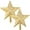 Gold, variant on BlinkLLX 2 Pcs Glitter Christmas Tree Toppers Star 8 Inch Silver Star Christmas Tree Top Decoration for Holiday Christmas Tree Toppers for Xmas Party Indoor & Outdoor Decor