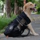 thumbnail image 4 of Mochila de viaje ajustable para perros y mascotas, bolsa de transporte para senderismo y ciclismo al aire libre, bolsas de transporte para perros, Bulldog Francés y Pug, 4 of 5