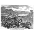 thumbnail image 2 of Wine Vineyard 1866. Nlongworth Vineyard Along The Ohio River. Engraving American 1866. Poster Print by, 2 of 4