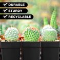 thumbnail image 6 of 10Pcs Square Nursery Succulent Pots,2.76x3.15In Flexible Plastic Seedling Pots,Black Plastic Plant Nursery Pots for Indoor,Outdoor Planting Flowers, 6 of 6