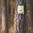 thumbnail image 2 of Bat house with green roof, 2 of 4