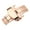 Rose Gold, variant on Joernso Watch Buckle 10mm/12mm/14mm Solid Metal Double Push Button Butterfly Watch Strap Folding Clasp for Watchmaker