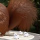thumbnail image 3 of Mini Resin Sheep Ornaments for Fairy Garden Decor 30Pcs Tiny Sheep Statues, 3 of 5