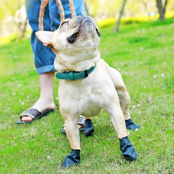 Dog Balloon Shoe Covers Dirty Resistant Teddy Shoes How to Fight Small Dogs Cannot Drop Rain Boots Pet Shoes Set of 4 Walmart