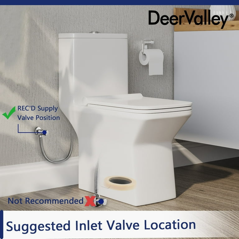 Ace One-Piece 0.8/1.28 GPF Dual-Flush Rectangular Floor