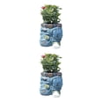 thumbnail image 3 of Pantalones maceta Inteprter Jeans Retro ropa planta cultivo balcón jardín decoración CBP593053, 3 of 6
