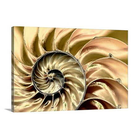- Great BIG Canvas Skeleton Swirl by Mike Moats Canvas Wall Art