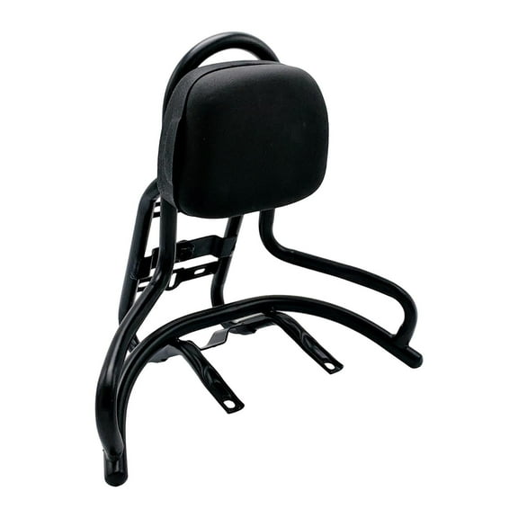 funtasica Passenger Backrest, Luggage Carrier Bracket with Backrest Cushion, Metal Motorcycle Sissy Bar, Rear Luggage Carrier Rack Black