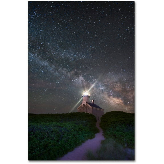 Trademark Fine Art "Follow the Light" Canvas Art by Michael Blanchette Photography