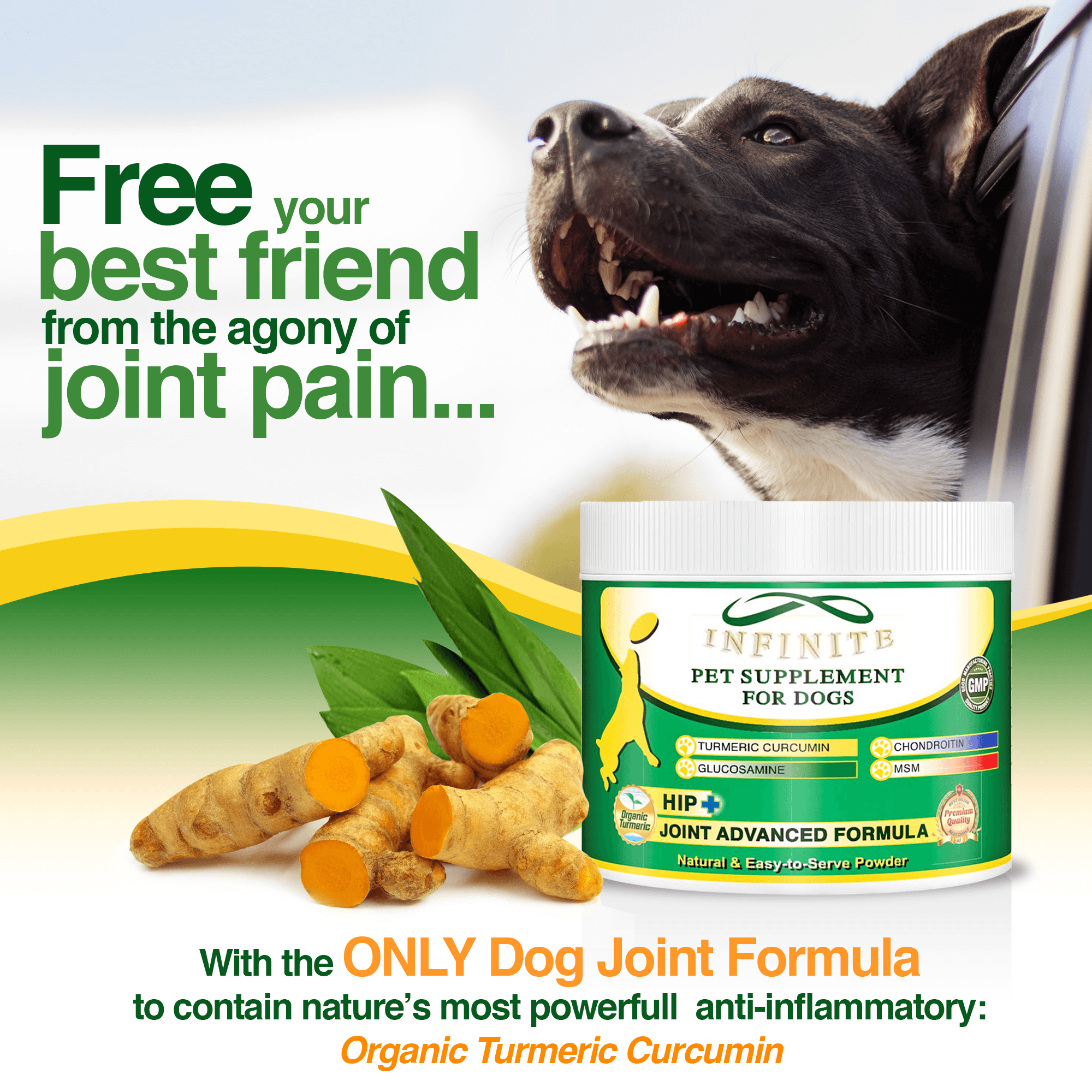 Infinite Pet Hip+Joint Advanced for Dogs (Powder), 90 Servings - image 3 of 6