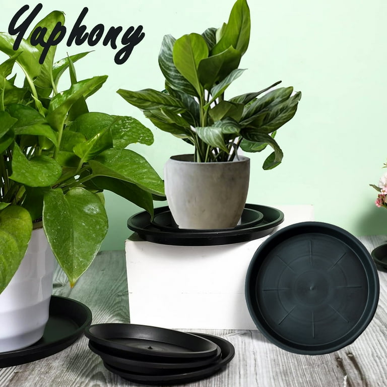 Yuphony 12 Pack 3 Size Black Plastic Plant Saucer Durable Thicker Clear Plastic  Plant Pot Trays Flower Plant Pot Saucer for Indoor Outdoor Garden -  Walmart.com