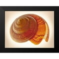 thumbnail image 2 of Reynolds, Richard 14x12 Black Modern Framed Museum Art Print Titled - Bayerotrochus Teramachii, 2 of 5