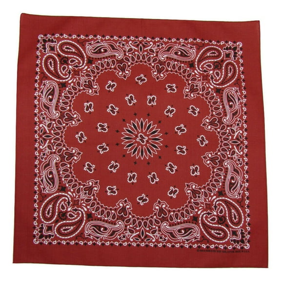 Bandanna Co Paisley, Terracotta, 22" x 22" (2nd)