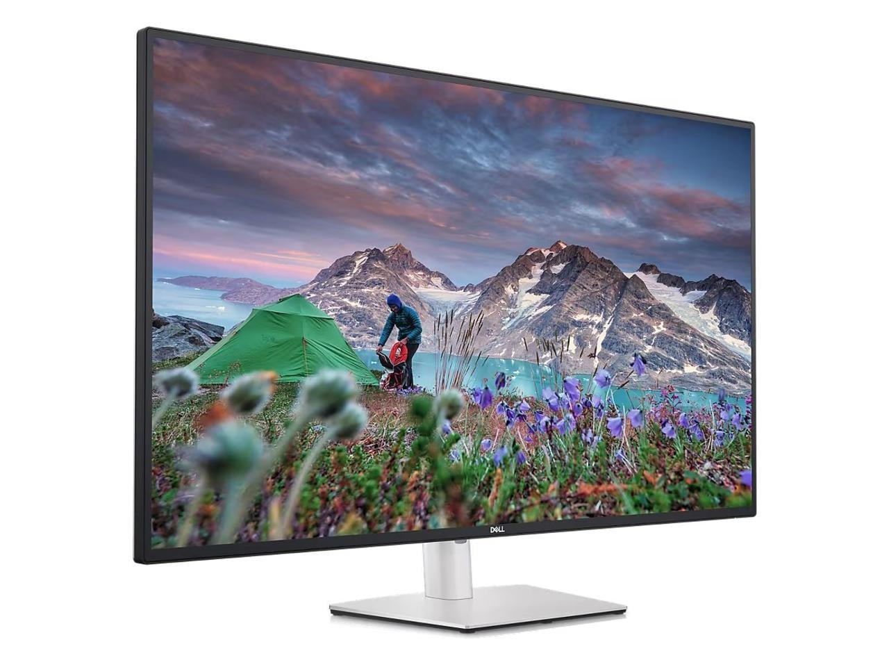 Dell UltraSharp 42.5' UHD Monitors - 5 ms GTG - 3840 x 2160 (4K) - 350 Nit - IPS Panel - 16:9