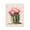 Southwestern Blooming Cactus Floral, variant on Stupell Industries Bohemian Pastel Cactus with Blooms Black Floating Frame Canvas Art, 17 x 21, by Lettered and Lined