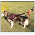 thumbnail image 4 of Dog Leash 5ft Long with 2 Comfortable Padded Handles, Reflective Threads Double Handles Lead for Control Safety Dog Training Leash for Small Medium Large Dogs (5 FT, Red), 4 of 4