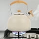 thumbnail image 4 of Tetera Silbante De 2,5 L, Acero Inoxidable Blanco Con Pitido Automático, Mango Ergonómico, Tetera Para Estufa De Agua, Tetera Para Estufa Eléctrica De Gas, Cocina De Inducción Moyic HA013259-00, 4 of 6